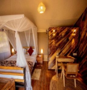 SERENGETI HOUSE OF NATURE