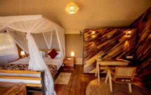 SERENGETI HOUSE OF NATURE